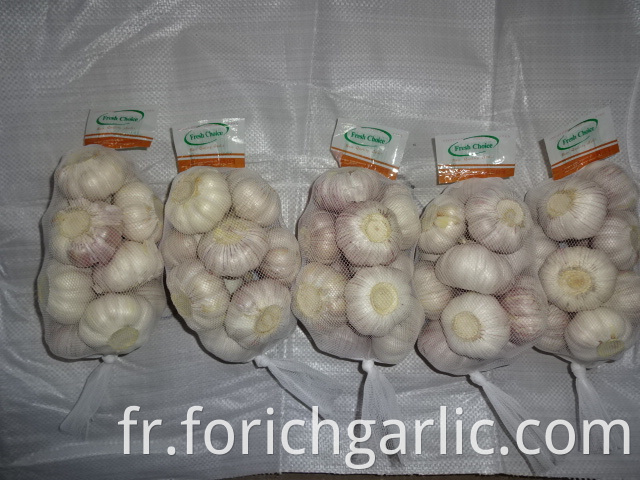 Fresh Garlic For Sale